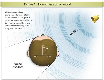 How do we hear sound?